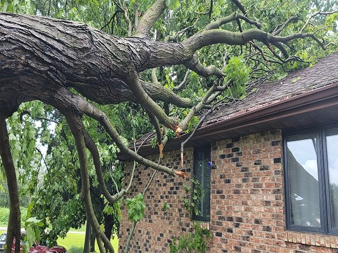 storm damage roof repair after large tree falls onto residential home roof
